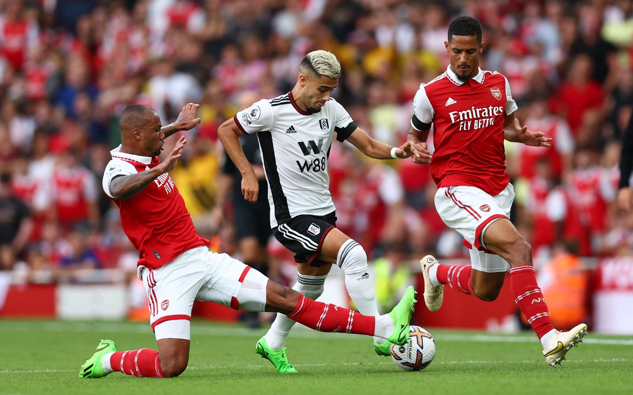 威廉姆斯和 威廉姆斯和